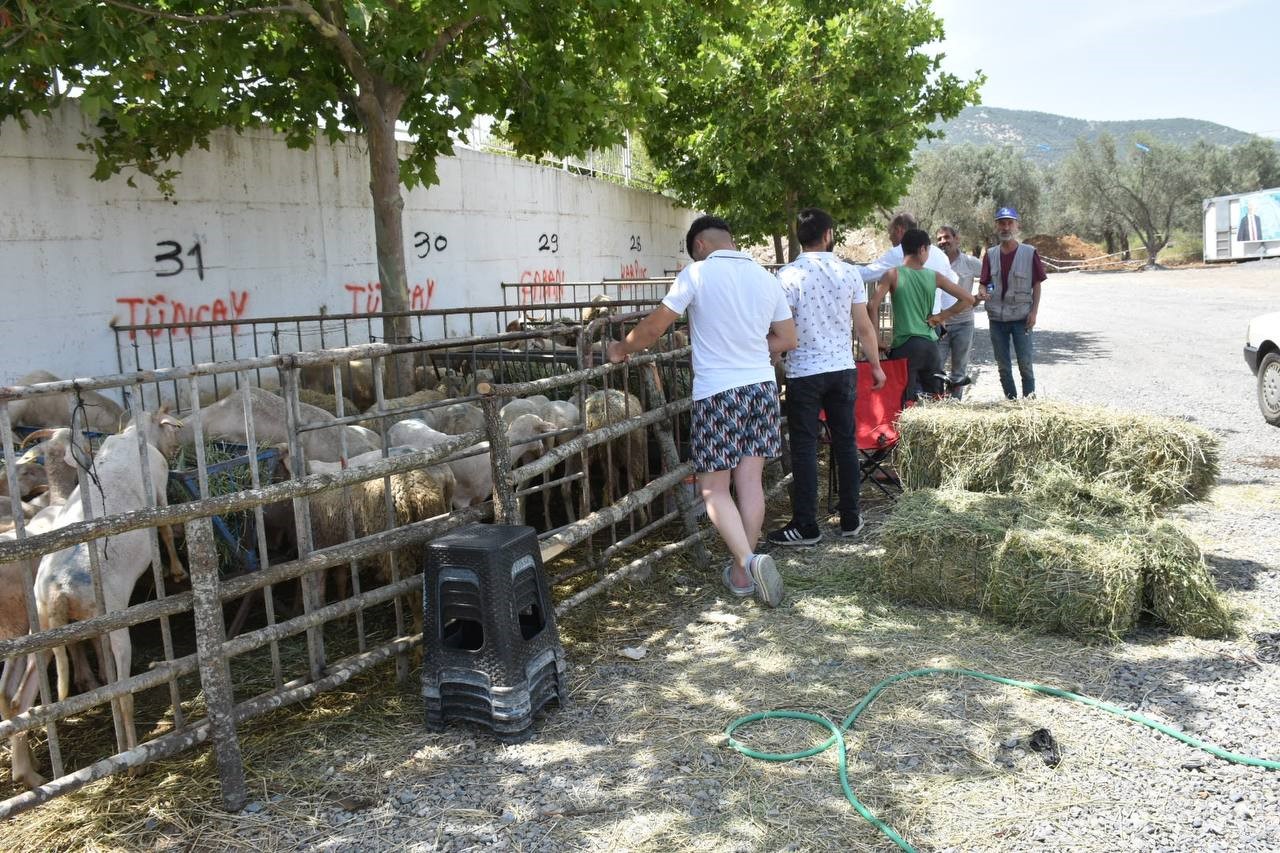 Edremit Kurban Bayramı’na hazır
