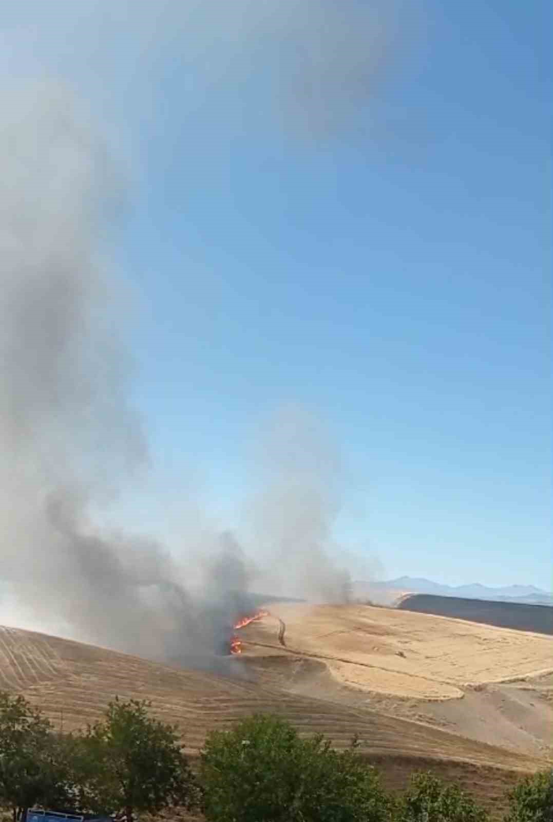 Diyarbakır’da bin dönümlük arazi küle döndü
