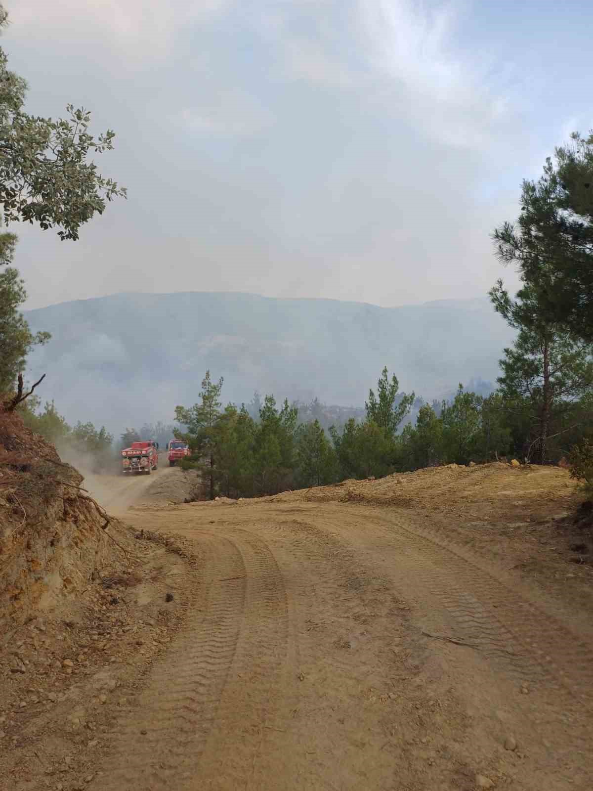 Kütahya Gediz’de orman yangını devam ediyor
