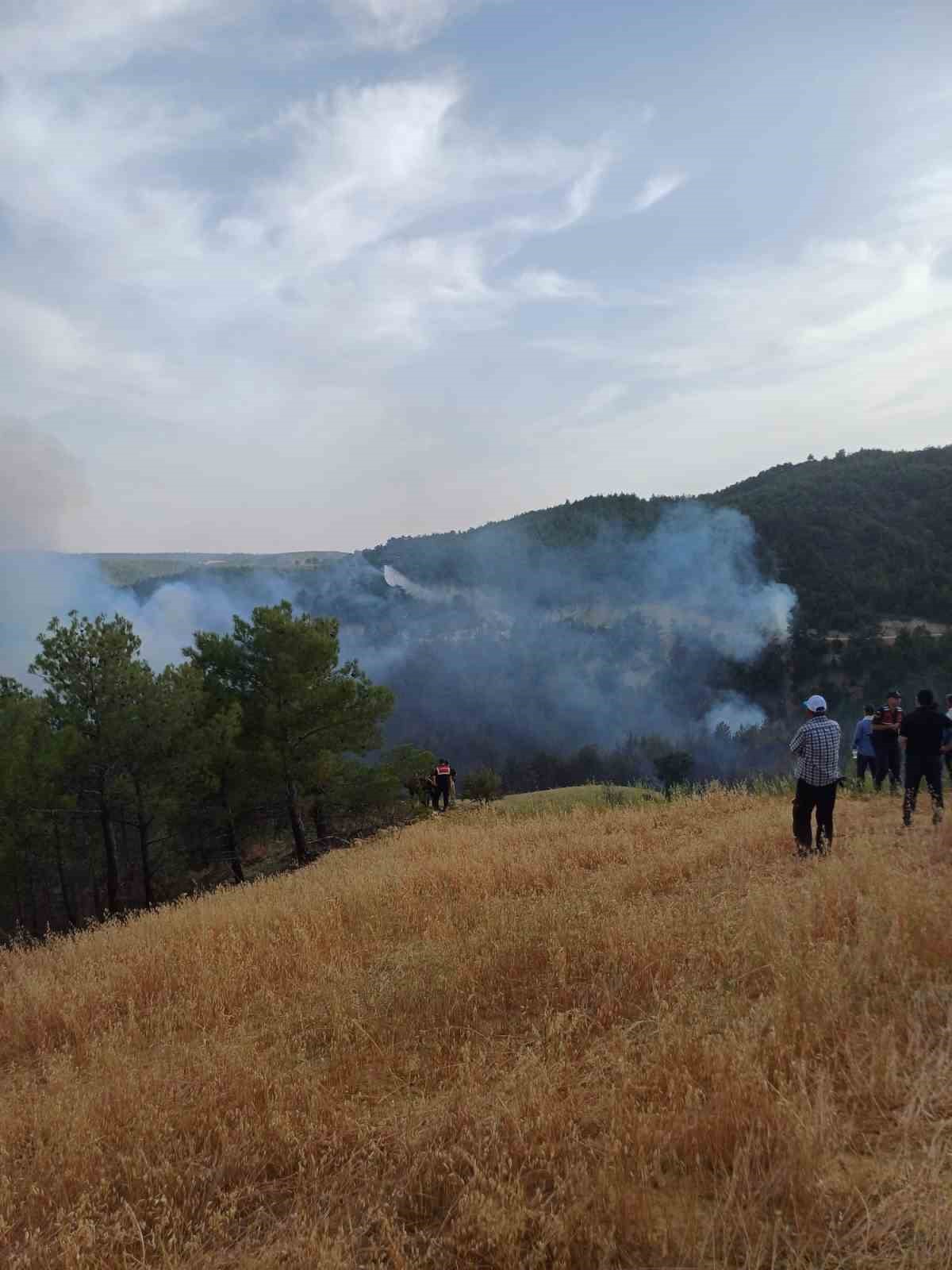 Kütahya Gediz’de orman yangını devam ediyor
