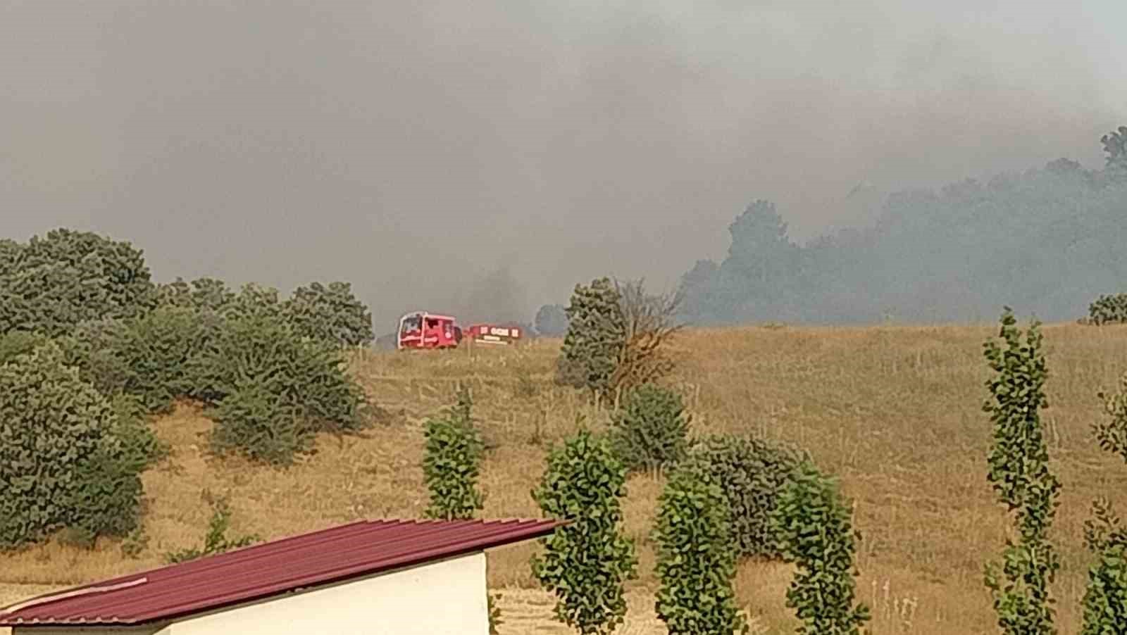 Uşak’ta tarım arazisinde başlayan yangın ormanlık alana sıçradı
