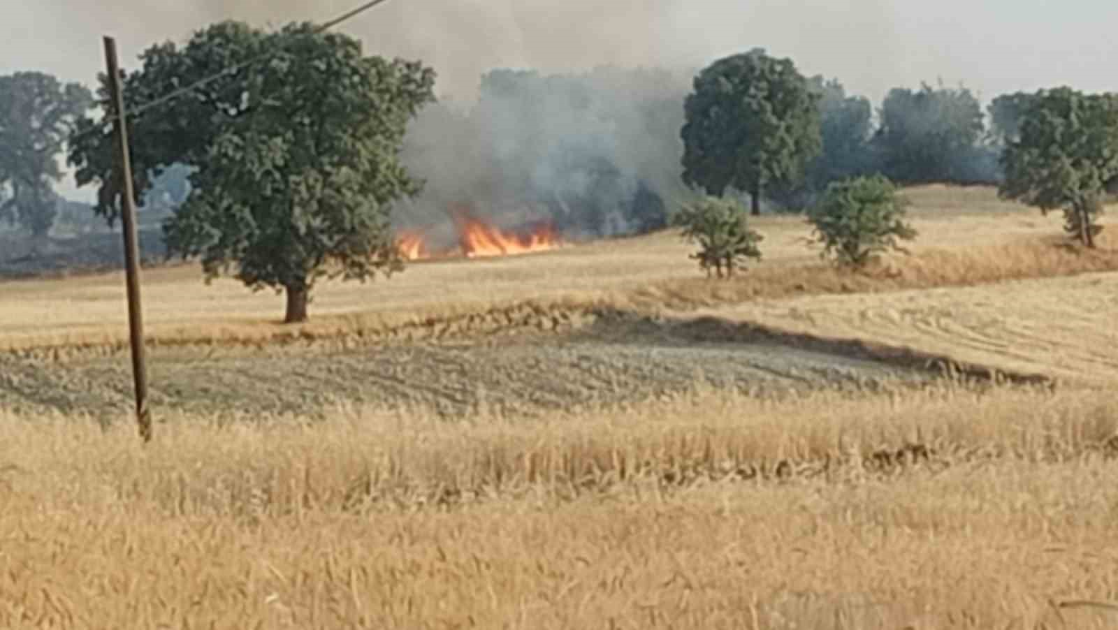 Uşak’ta tarım arazisinde başlayan yangın ormanlık alana sıçradı
