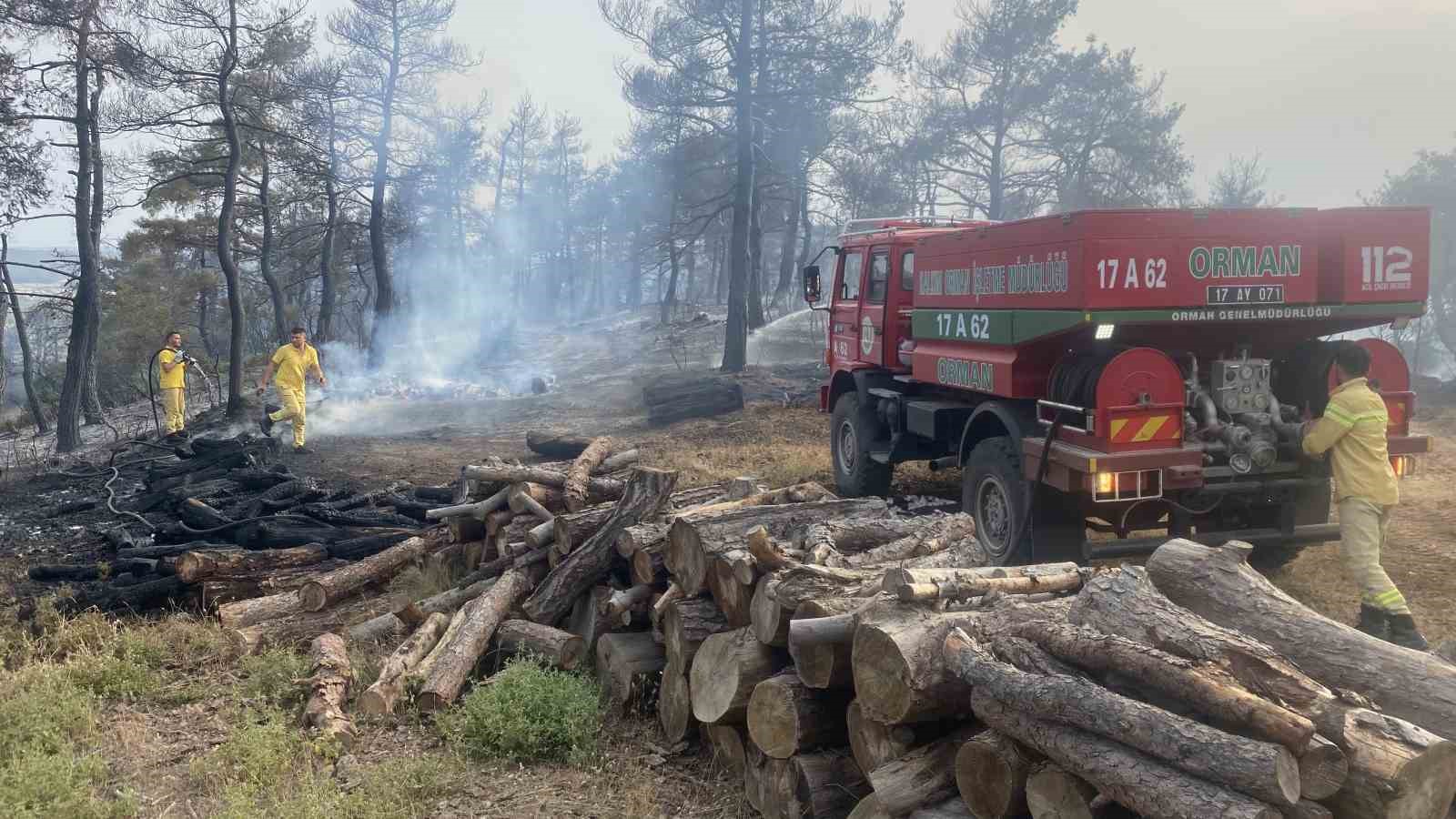 Çanakkale’deki orman yangını 8 saat sonra kontrol altına alındı
