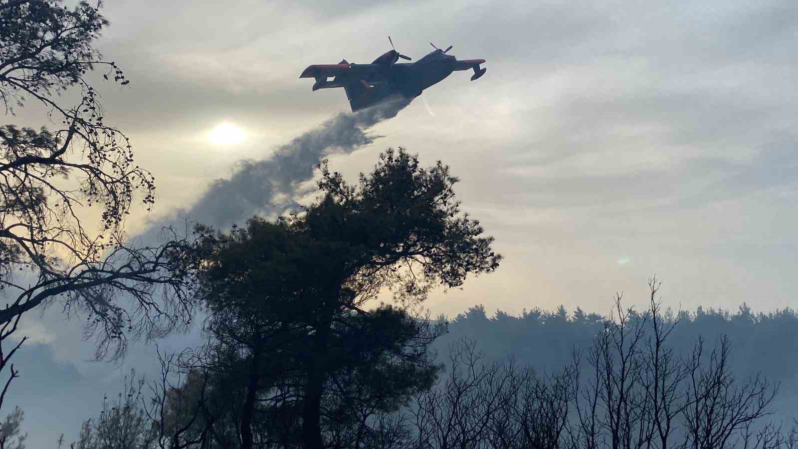 Çanakkale’deki orman yangını 8 saat sonra kontrol altına alındı
