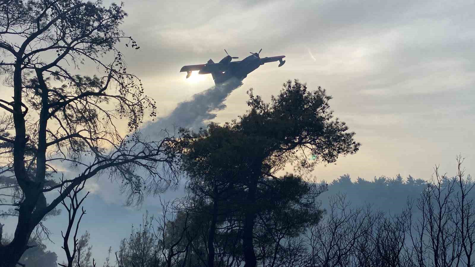 Çanakkale’deki orman yangını 8 saat sonra kontrol altına alındı
