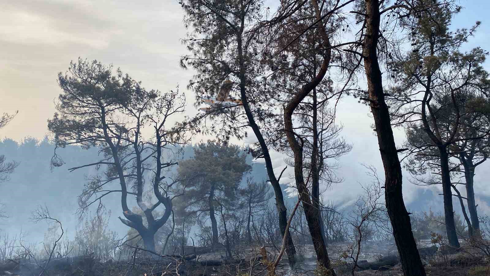 Çanakkale’deki orman yangını 8 saat sonra kontrol altına alındı
