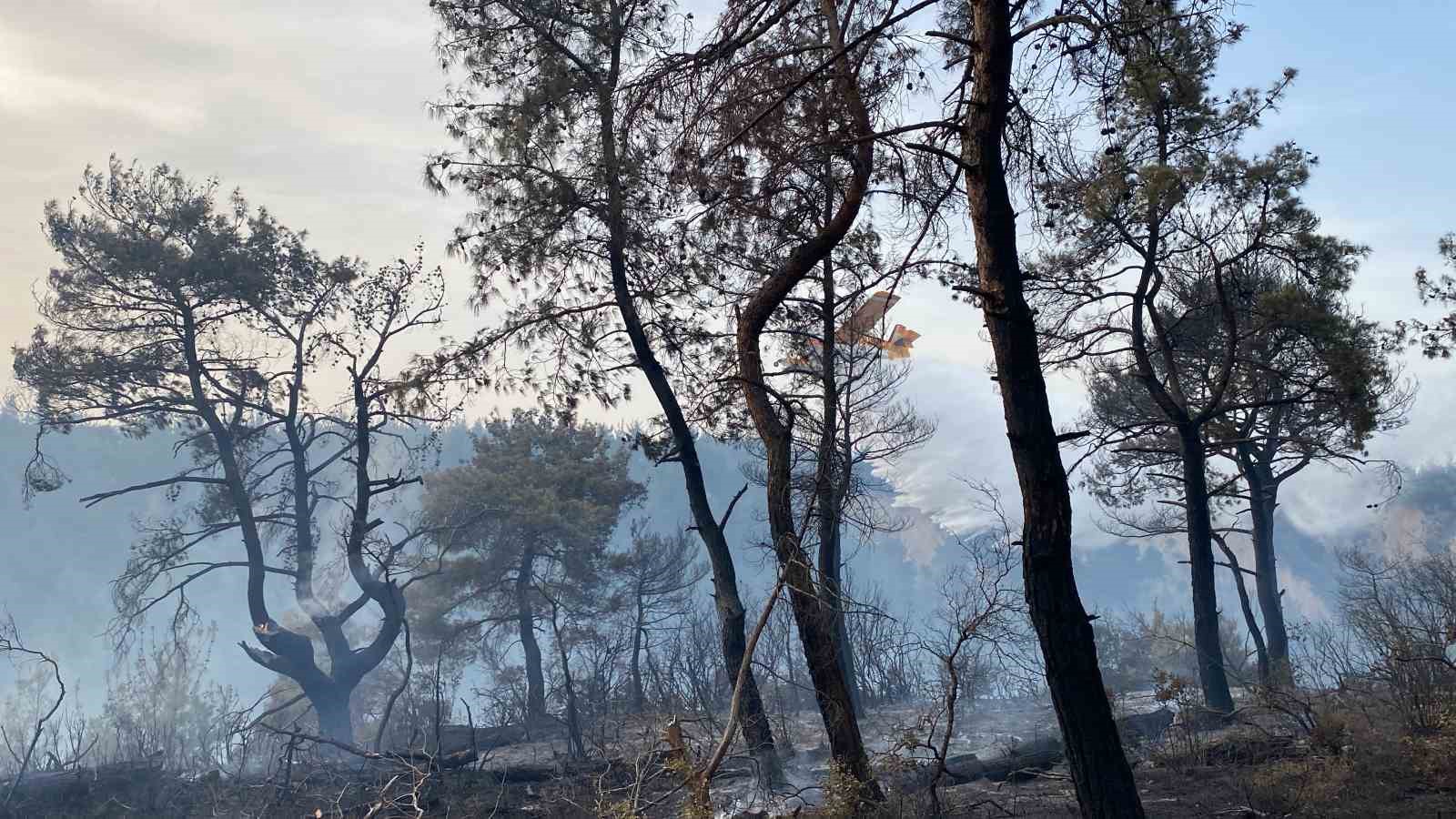 Çanakkale’deki orman yangını 8 saat sonra kontrol altına alındı
