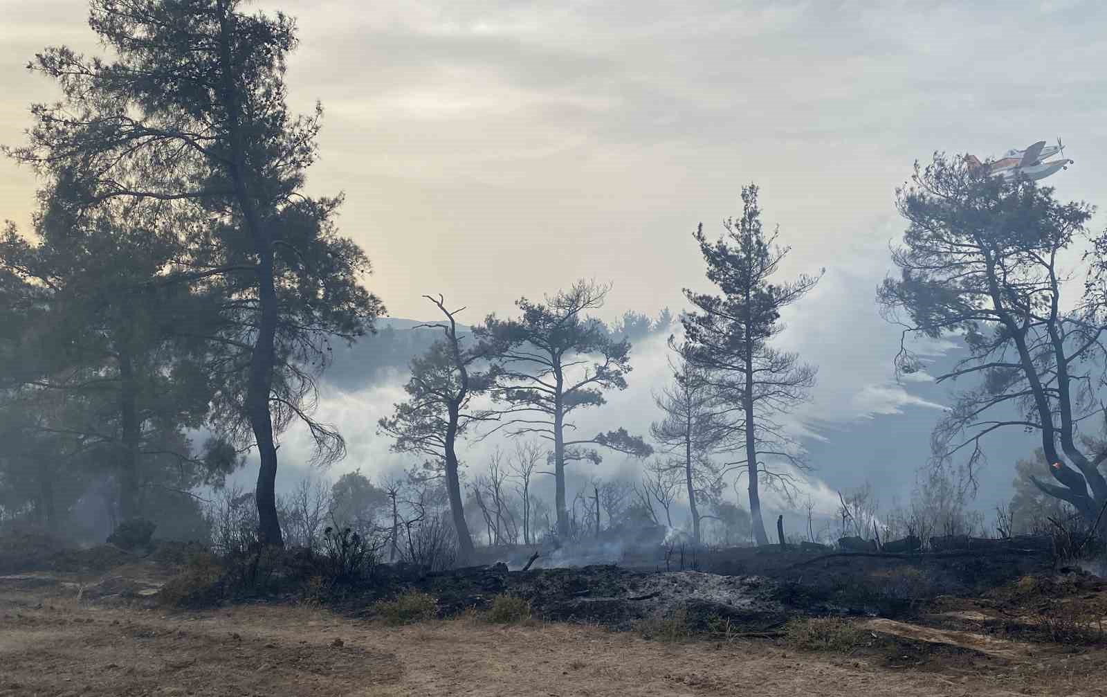 Çanakkale’deki orman yangını 8 saat sonra kontrol altına alındı
