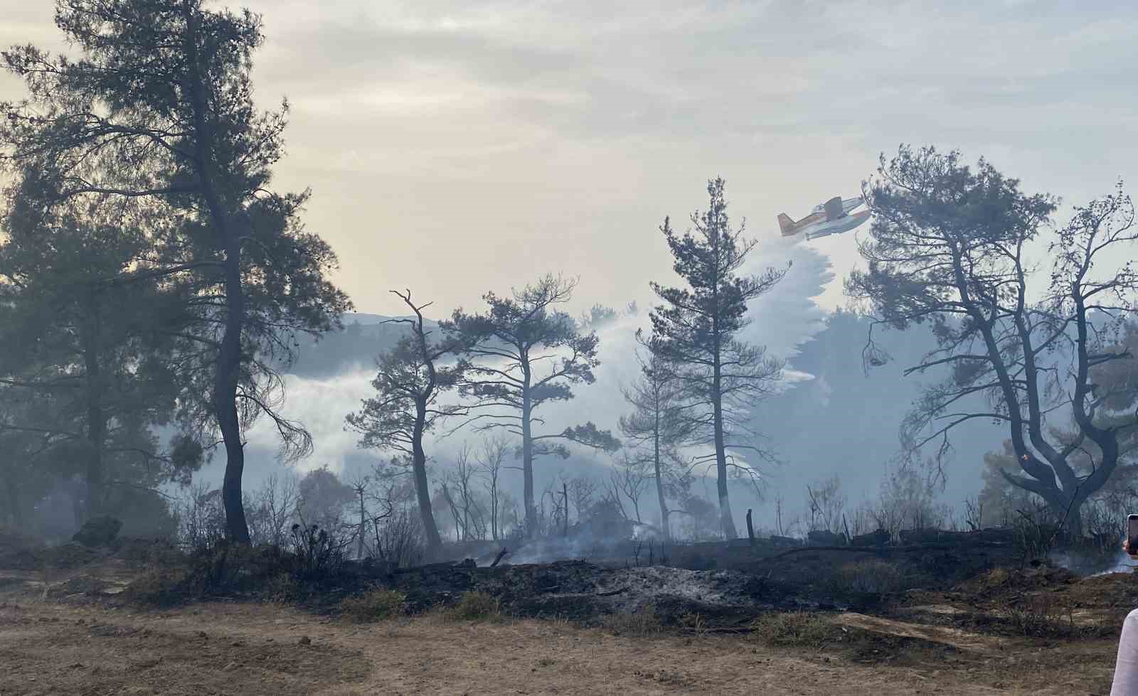 Çanakkale’deki orman yangını 8 saat sonra kontrol altına alındı
