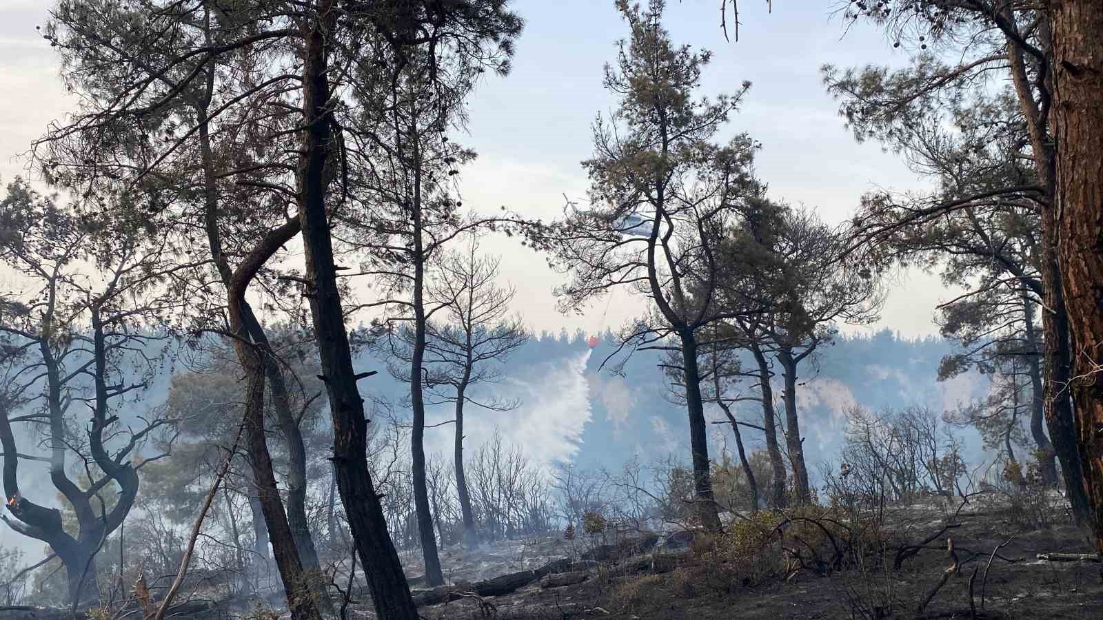 Çanakkale’deki orman yangını 8 saat sonra kontrol altına alındı
