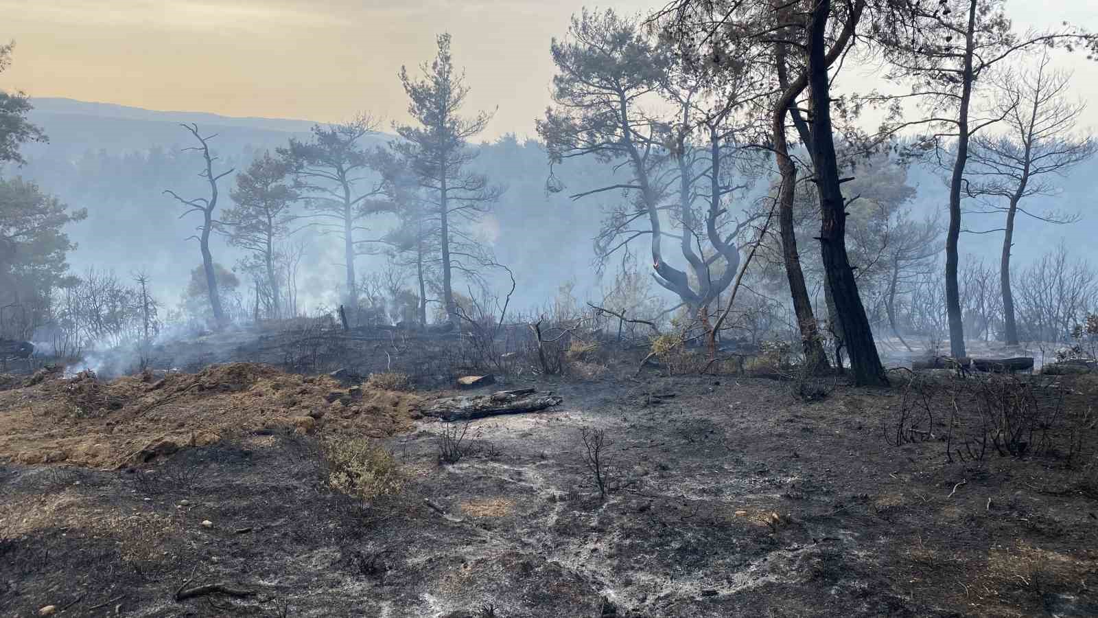 Çanakkale’deki orman yangını 8 saat sonra kontrol altına alındı
