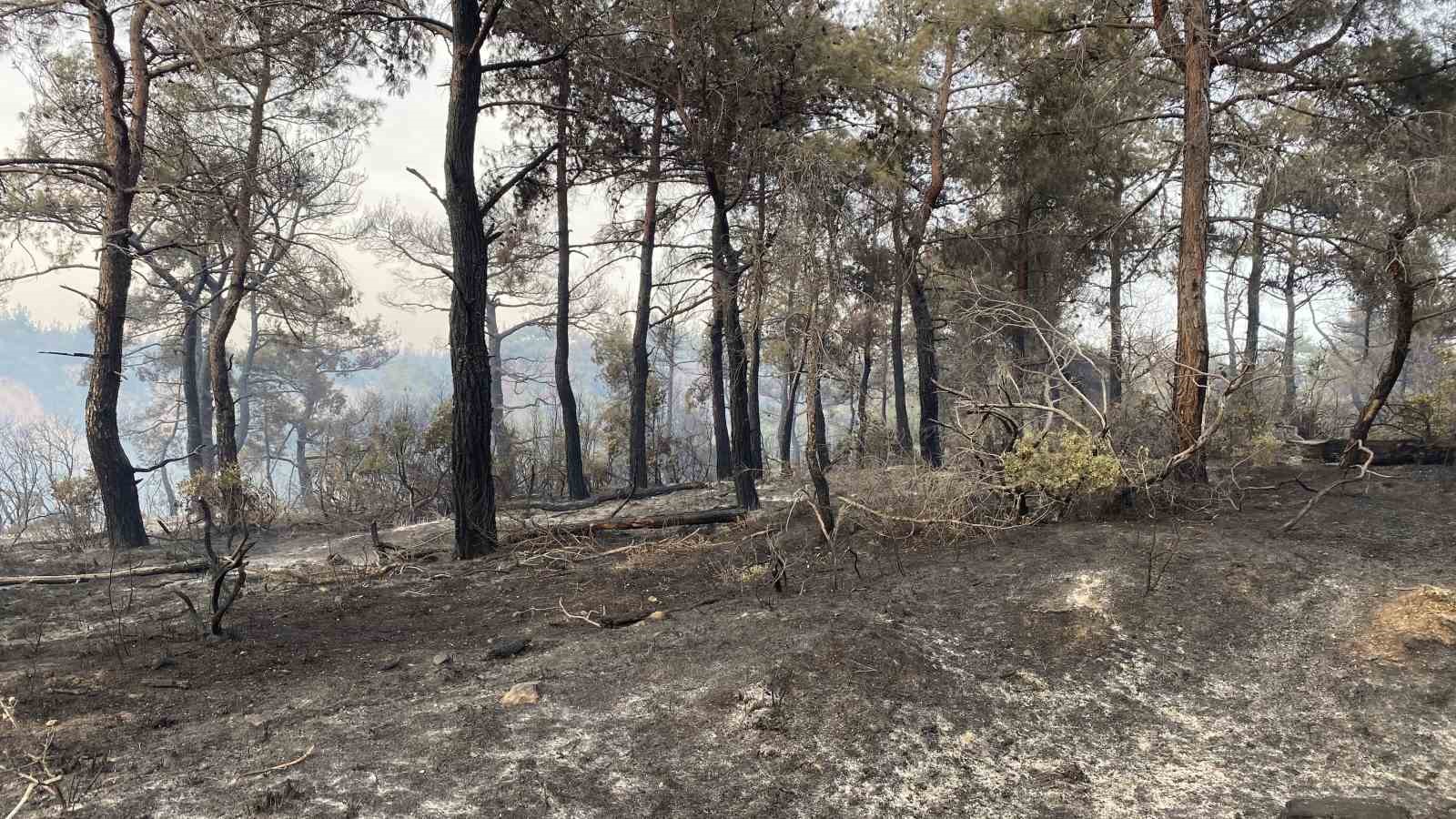 Çanakkale’deki orman yangını 8 saat sonra kontrol altına alındı
