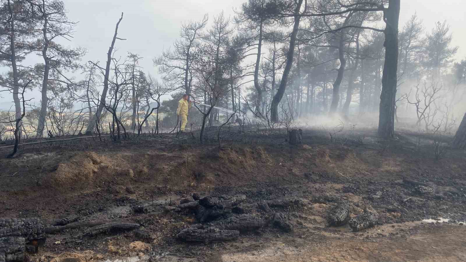 Çanakkale’deki orman yangını 8 saat sonra kontrol altına alındı
