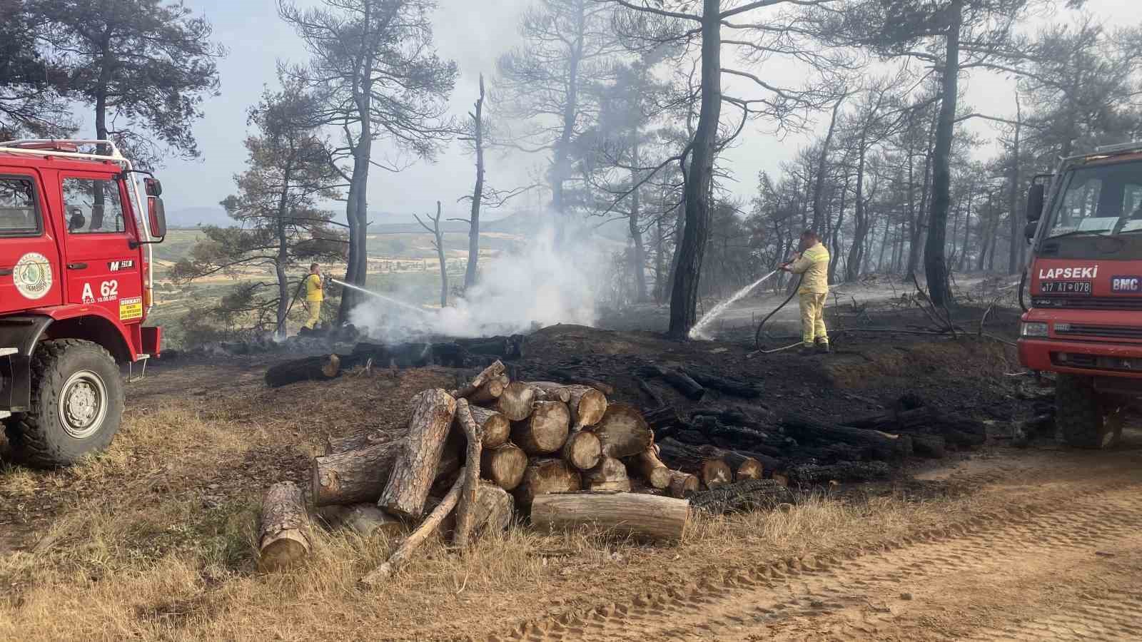 Çanakkale’deki orman yangını 8 saat sonra kontrol altına alındı
