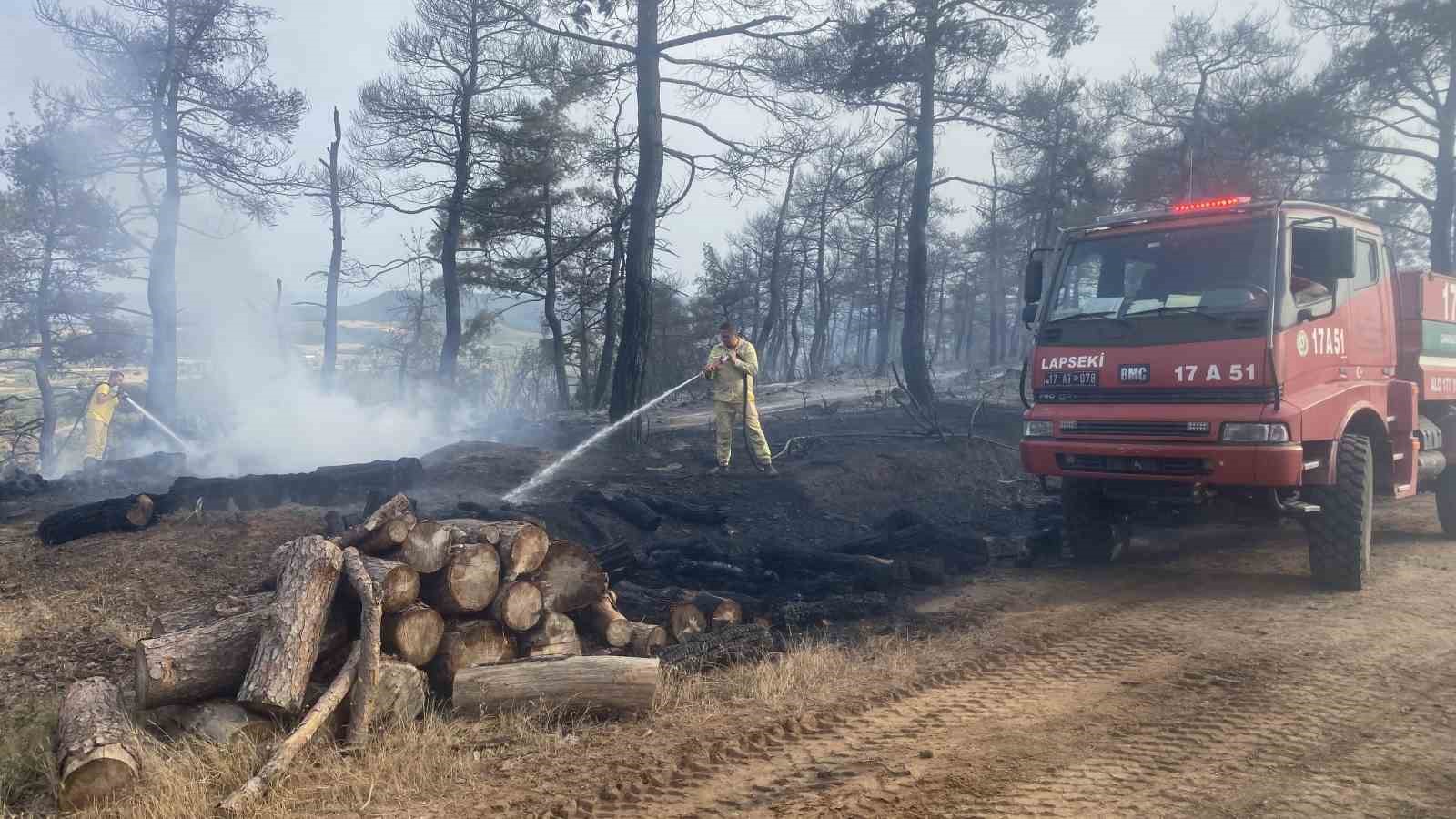 Çanakkale’deki orman yangını 8 saat sonra kontrol altına alındı
