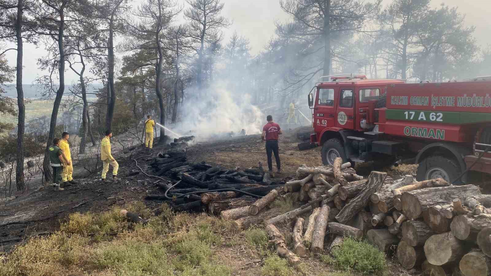 Çanakkale’deki orman yangını 8 saat sonra kontrol altına alındı
