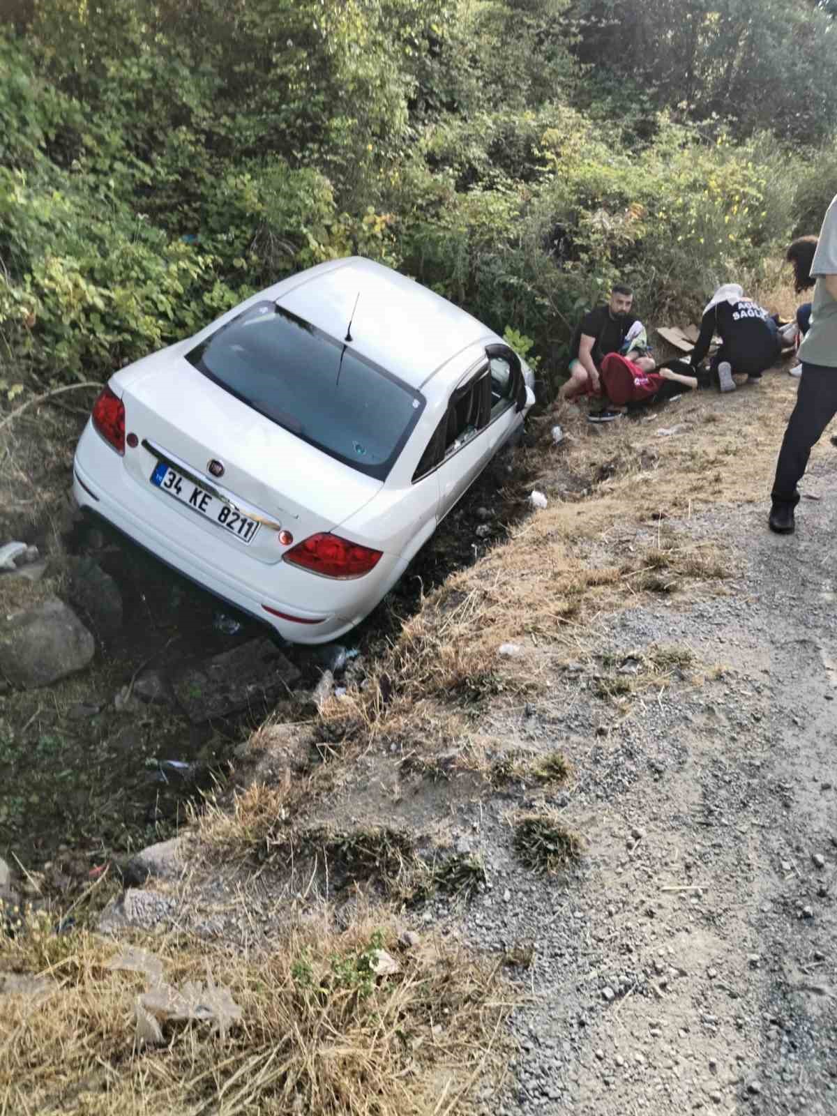 Çeşmeden su alırken otomobilin çarptığı 2 vatandaş yaralandı
