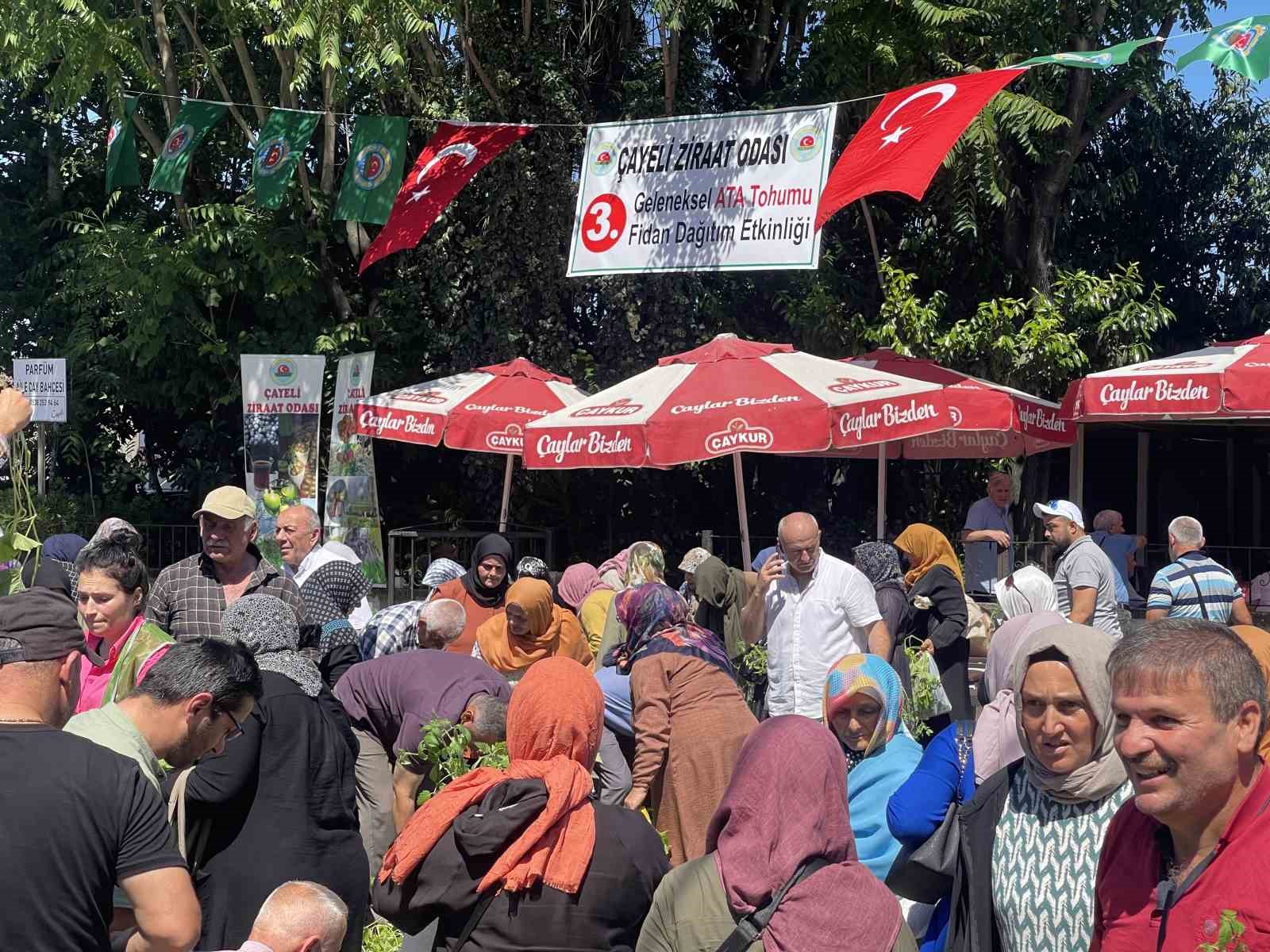 Rize’de ata tohumlarından üretilen 40 bin sebze fidanı vatandaşlara dağıtıldı
