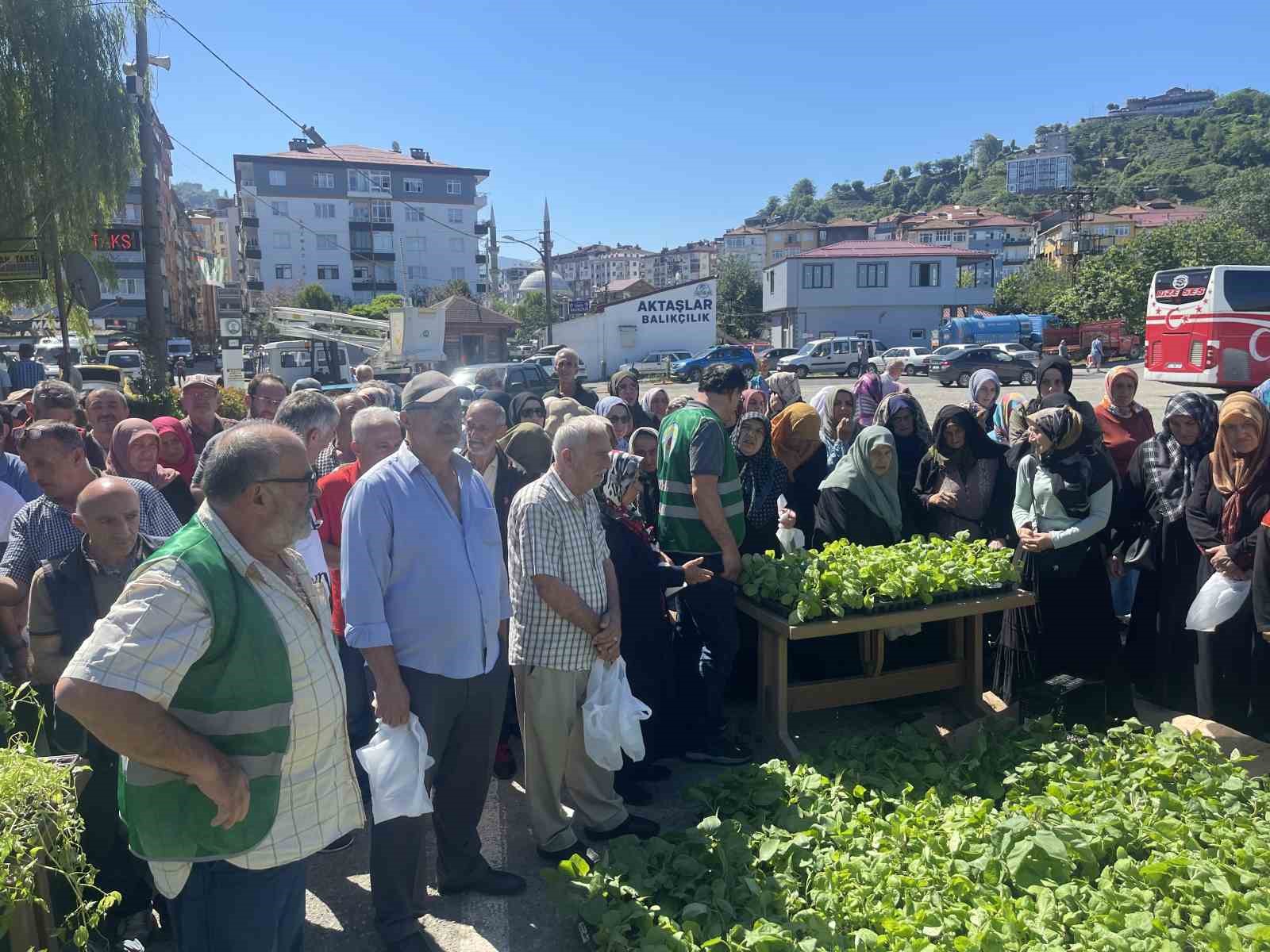 Rize’de ata tohumlarından üretilen 40 bin sebze fidanı vatandaşlara dağıtıldı
