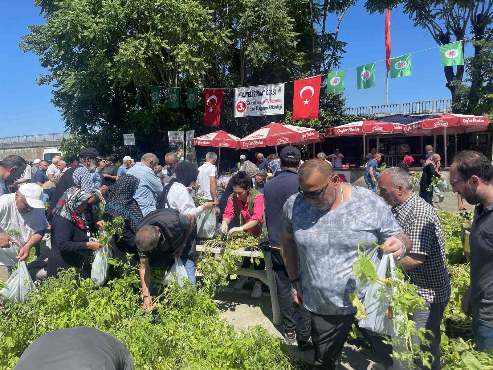 Rize’de ata tohumlarından üretilen 40 bin sebze fidanı vatandaşlara dağıtıldı
