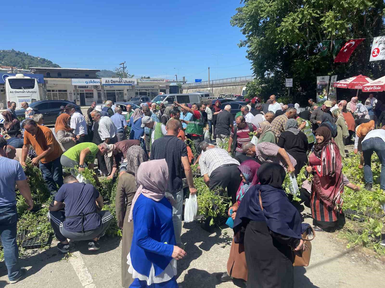 Rize’de ata tohumlarından üretilen 40 bin sebze fidanı vatandaşlara dağıtıldı
