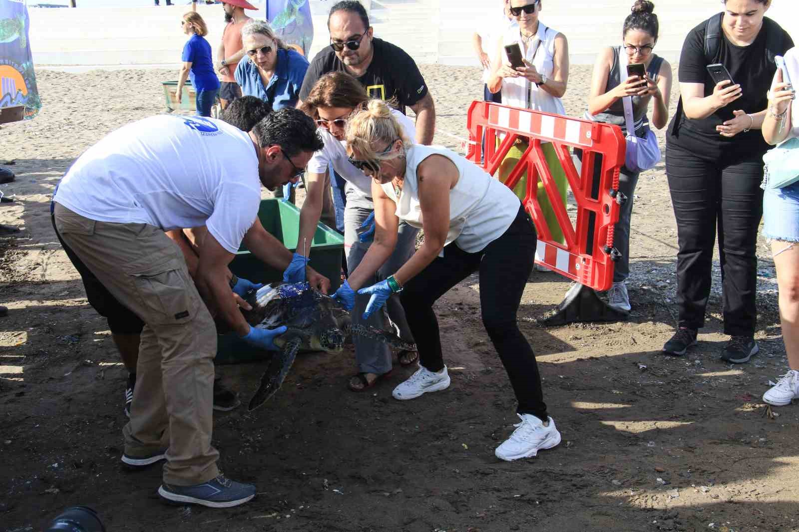 Uydu vericisi takılan yeşil deniz kaplumbağaları denize bırakıldı
