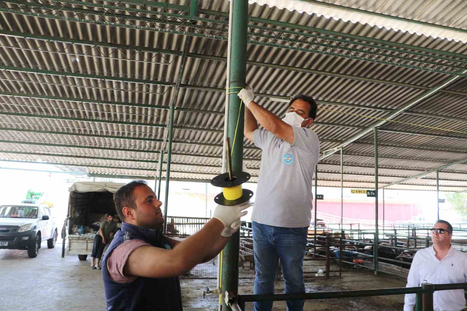 Kurban satış yerleri ve mezbahalarda ilaçlama çalışmaları tamamlandı
