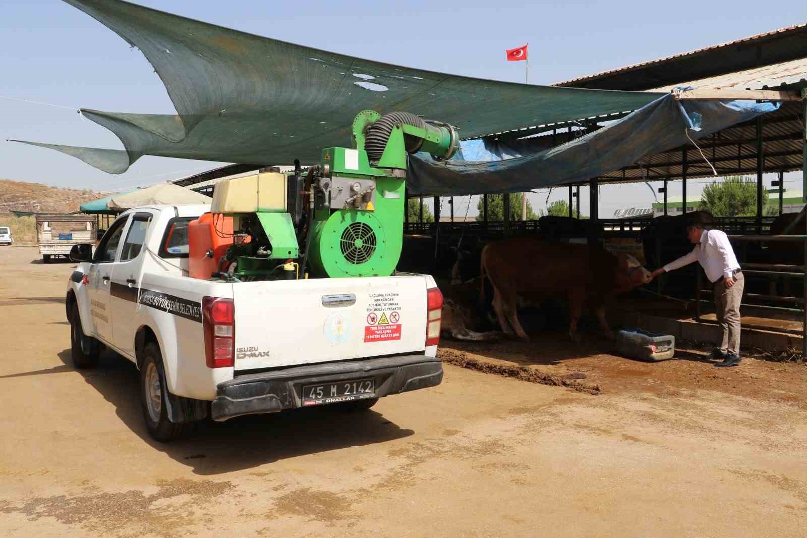 Kurban satış yerleri ve mezbahalarda ilaçlama çalışmaları tamamlandı
