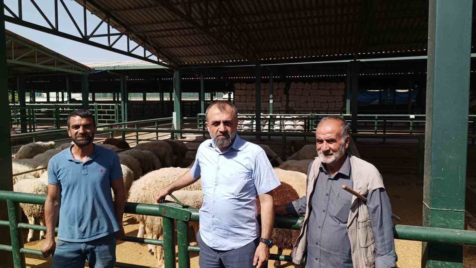 Malatya’da kurbanlıklar alıcılarını bekliyor
