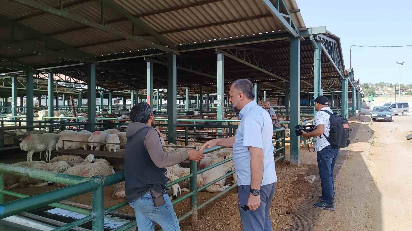 Malatya’da kurbanlıklar alıcılarını bekliyor
