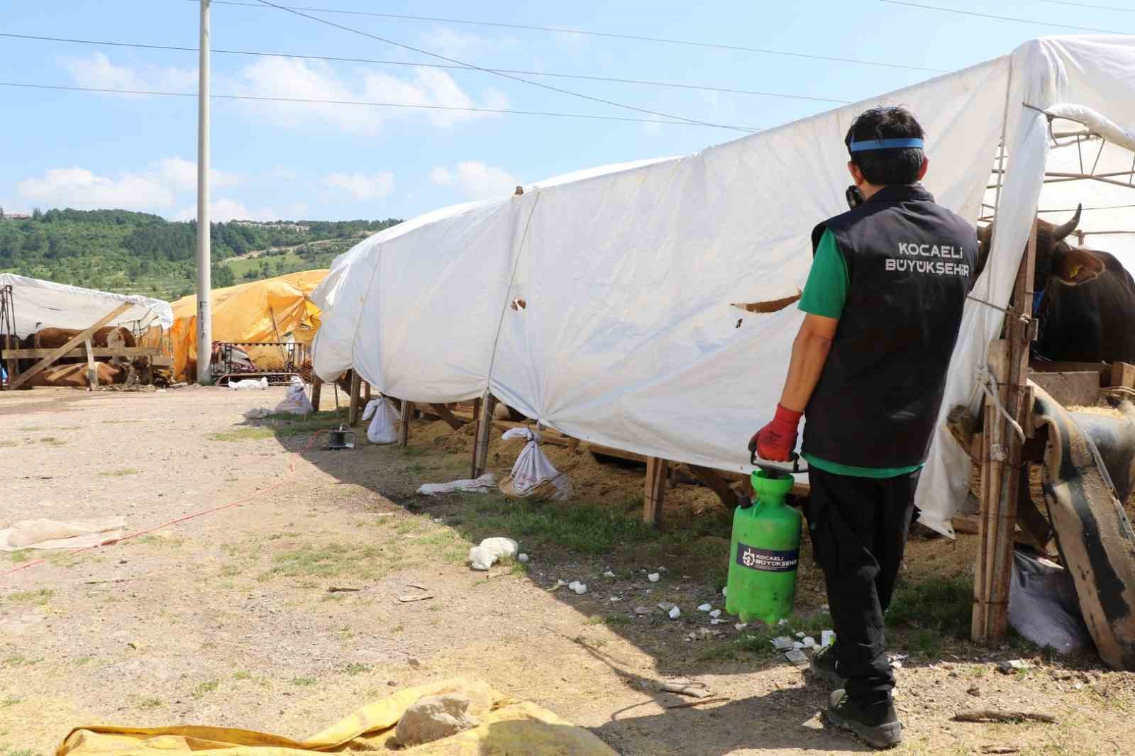 Kurban satış alanları ilaçlanıyor
