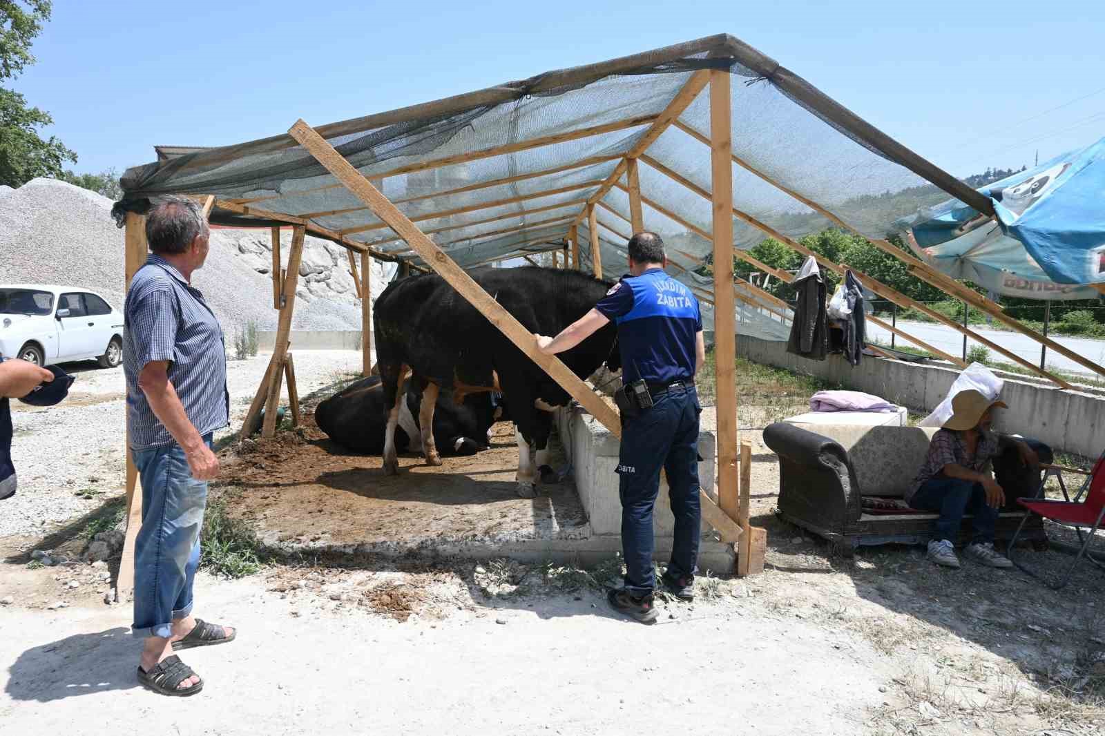 İlkadım zabıtası kurban denetimlerini artırdı
