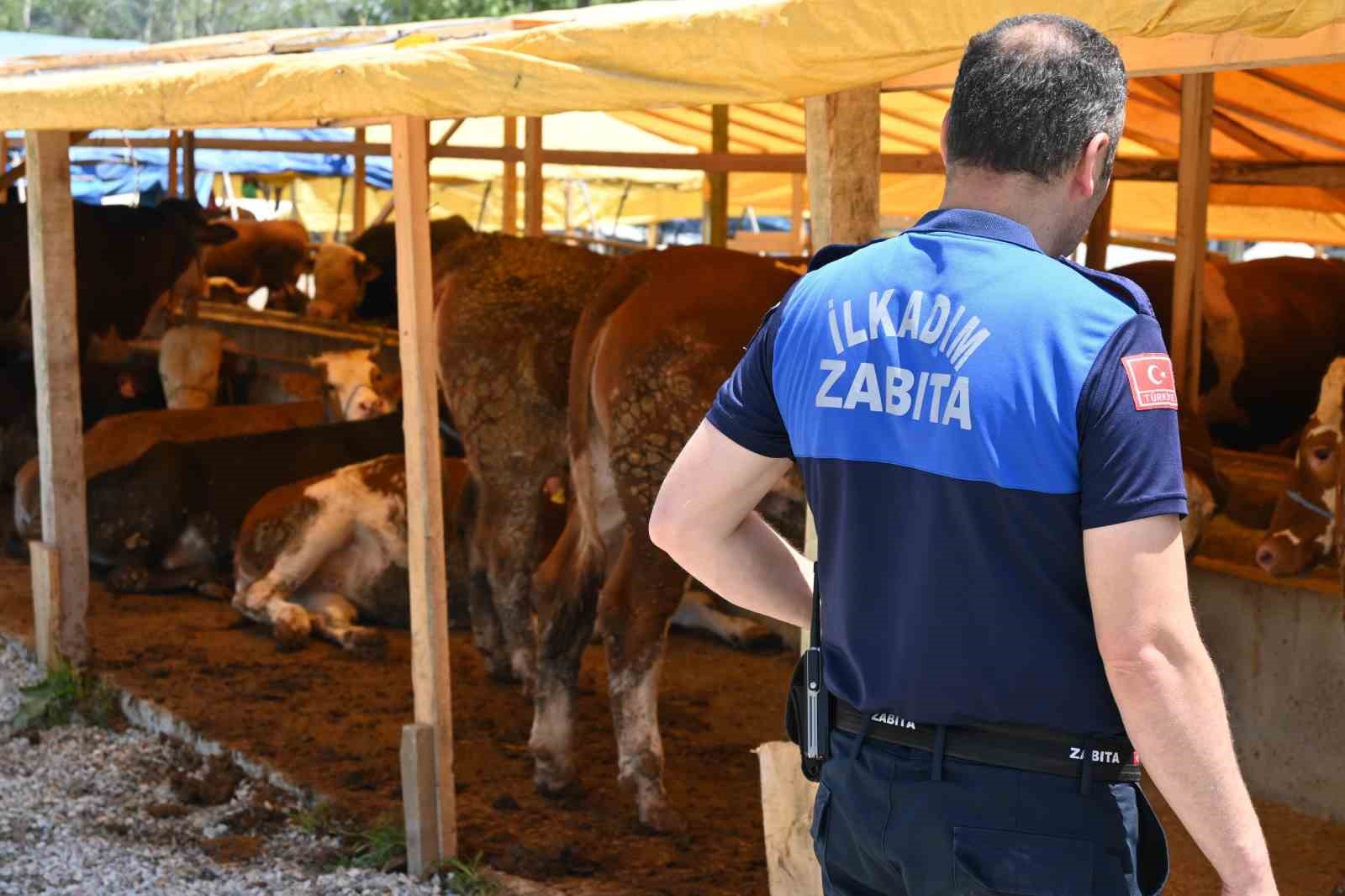 İlkadım zabıtası kurban denetimlerini artırdı
