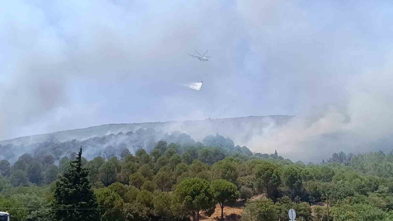 Bornova’da orman yangını
