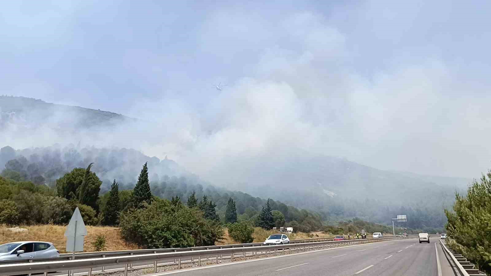 Bornova’da orman yangını
