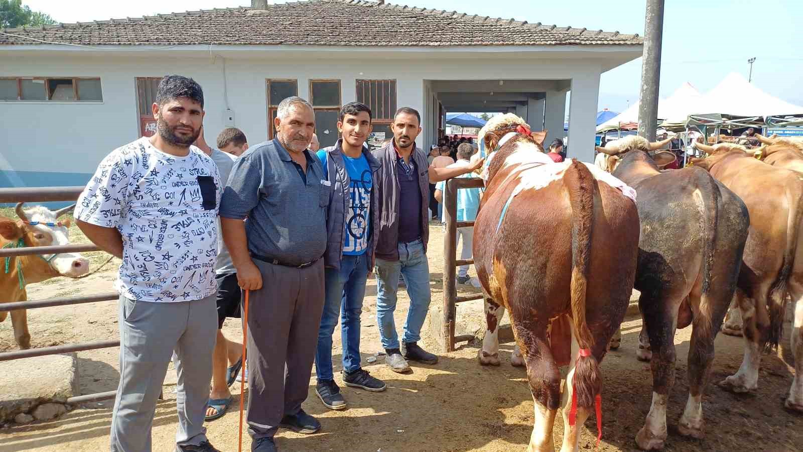 Son kurbanlığının boynuna 7 tane altın takarak satışa çıkarttı
