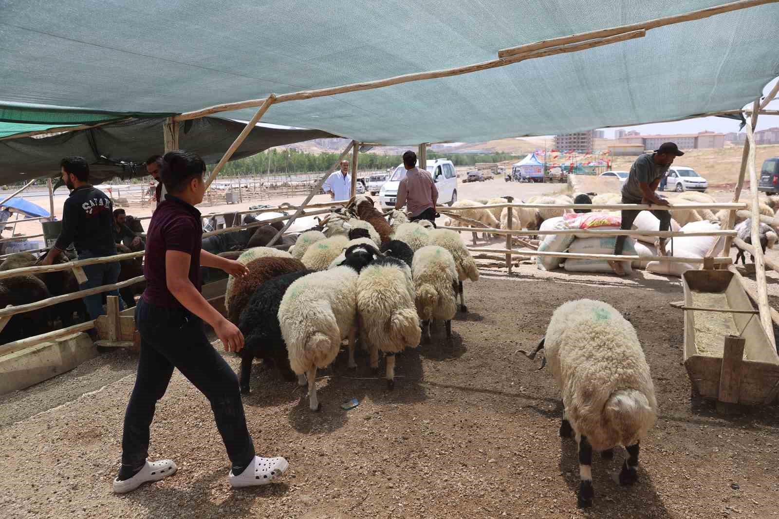 Gaziantep’te Kurban Bayramı öncesi sıkı denetimler sürüyor
