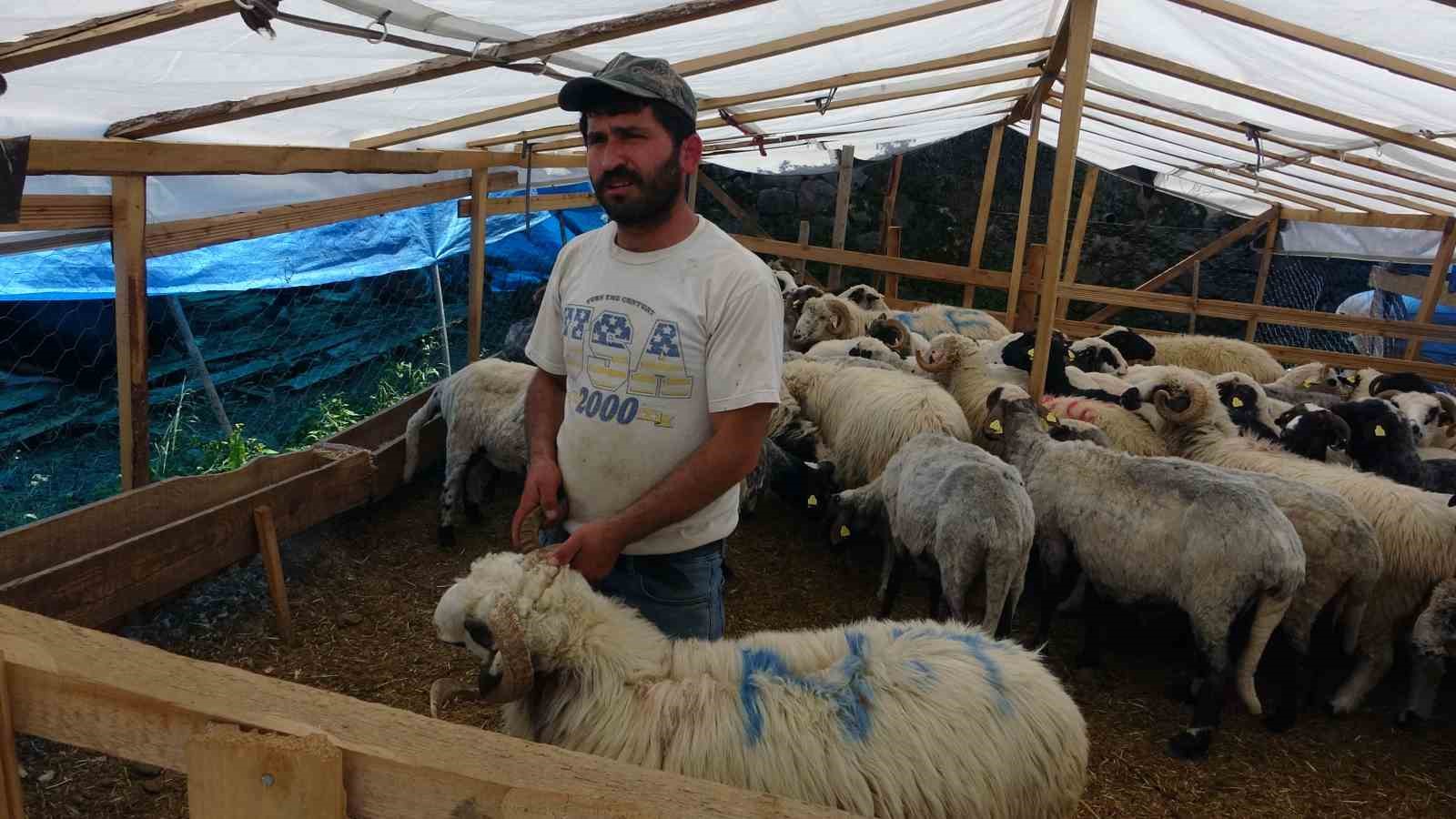 Kurban satıcıları, yurtdışı bağışlardan ve marketlerden şikayetçi
