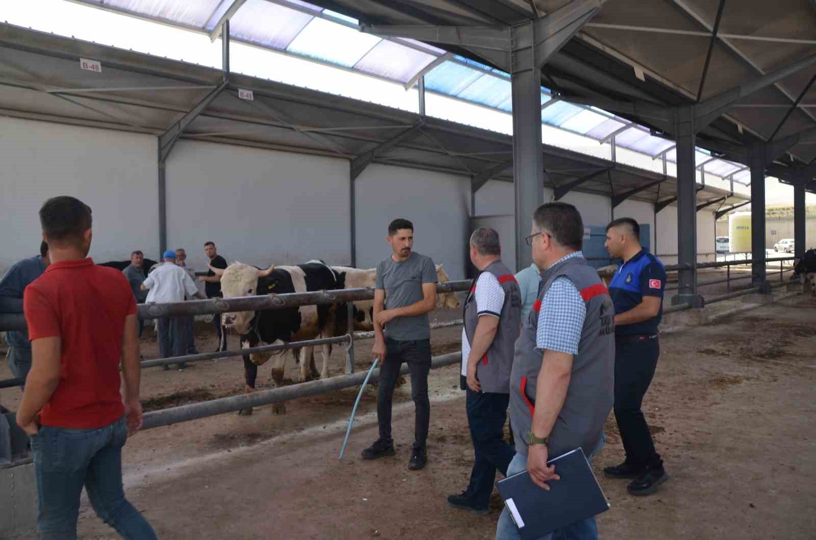 Niğde’de kurbanlık hayvan satış yerleri denetleniyor
