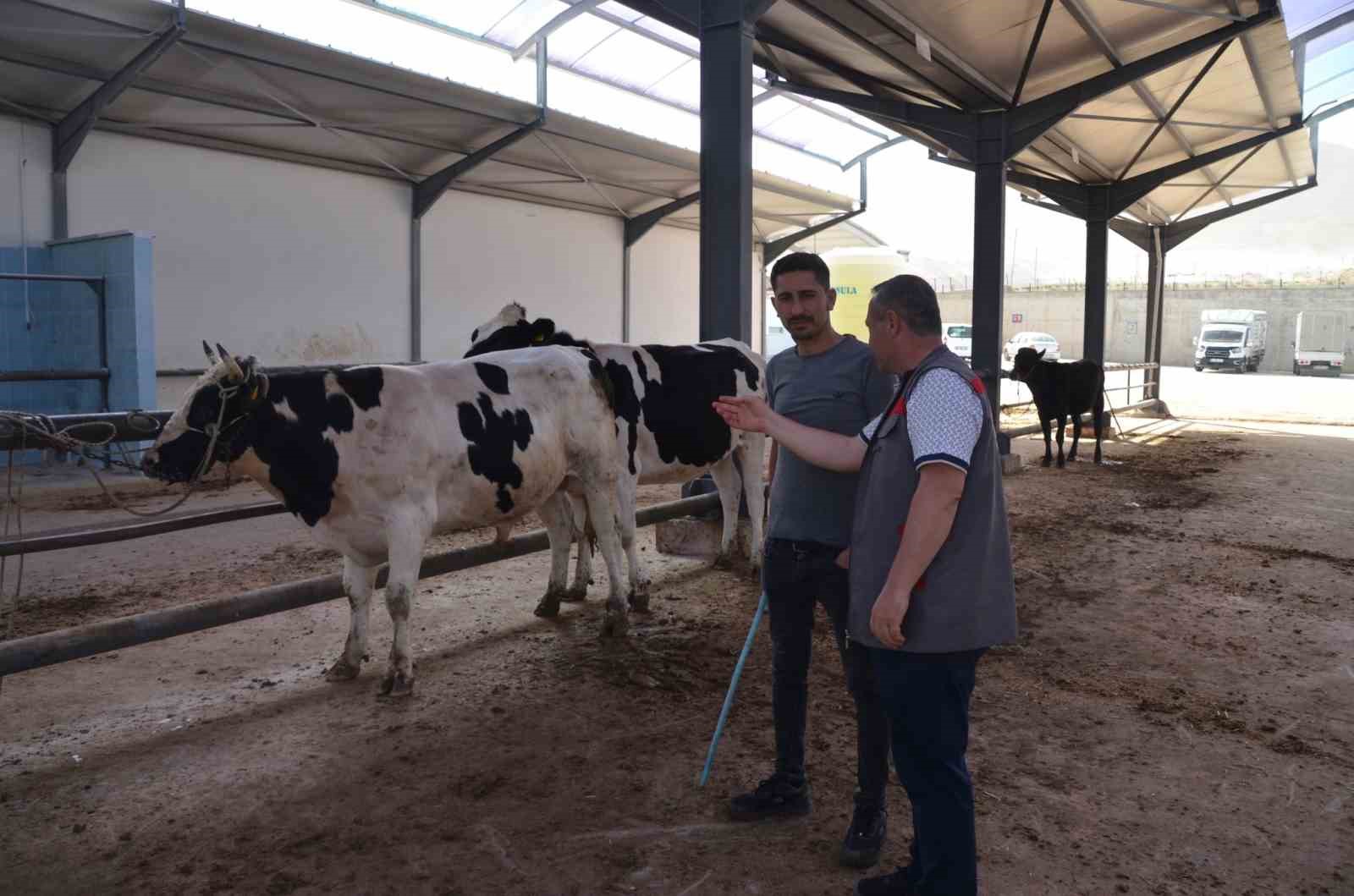 Niğde’de kurbanlık hayvan satış yerleri denetleniyor
