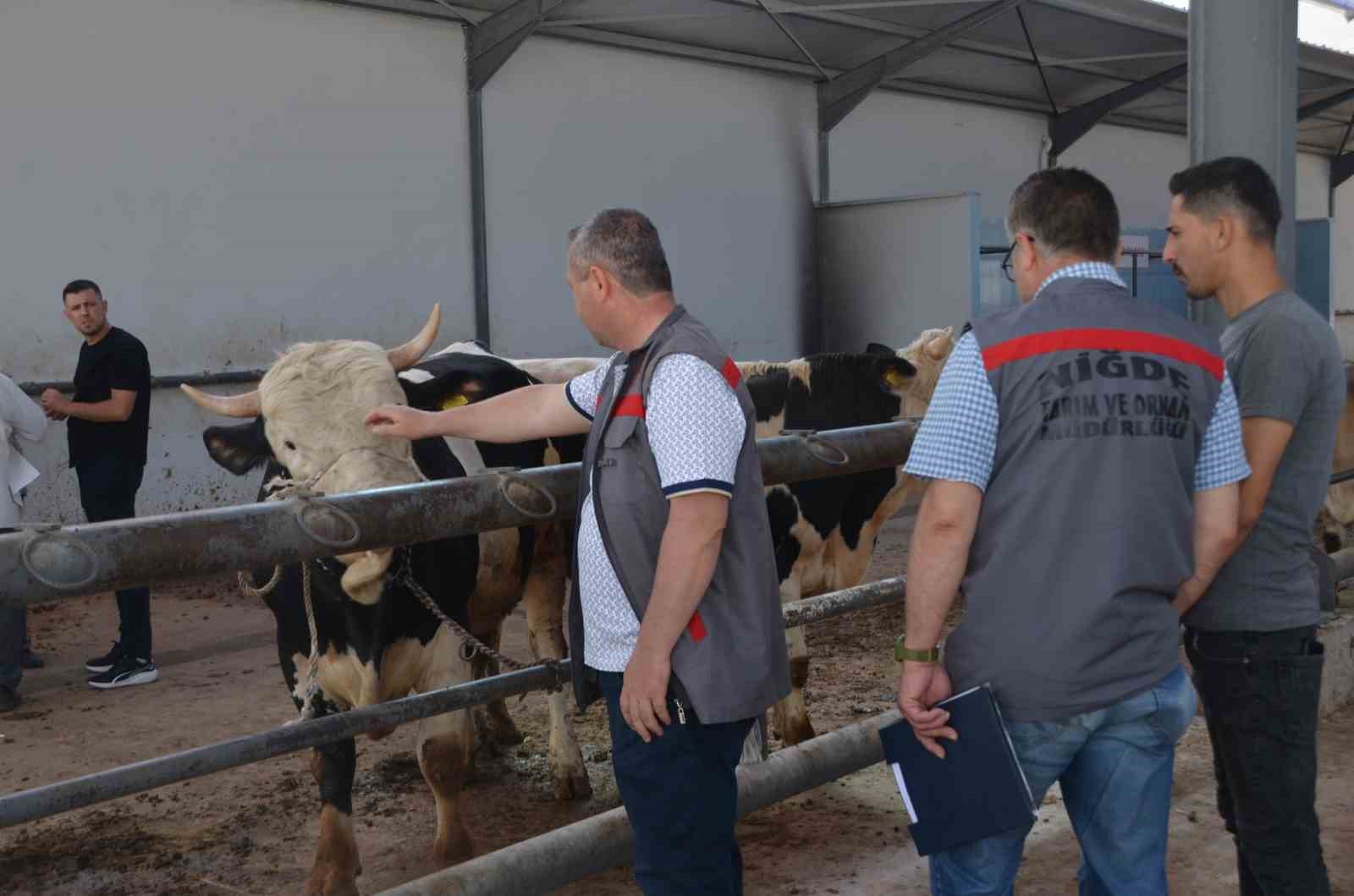 Niğde’de kurbanlık hayvan satış yerleri denetleniyor
