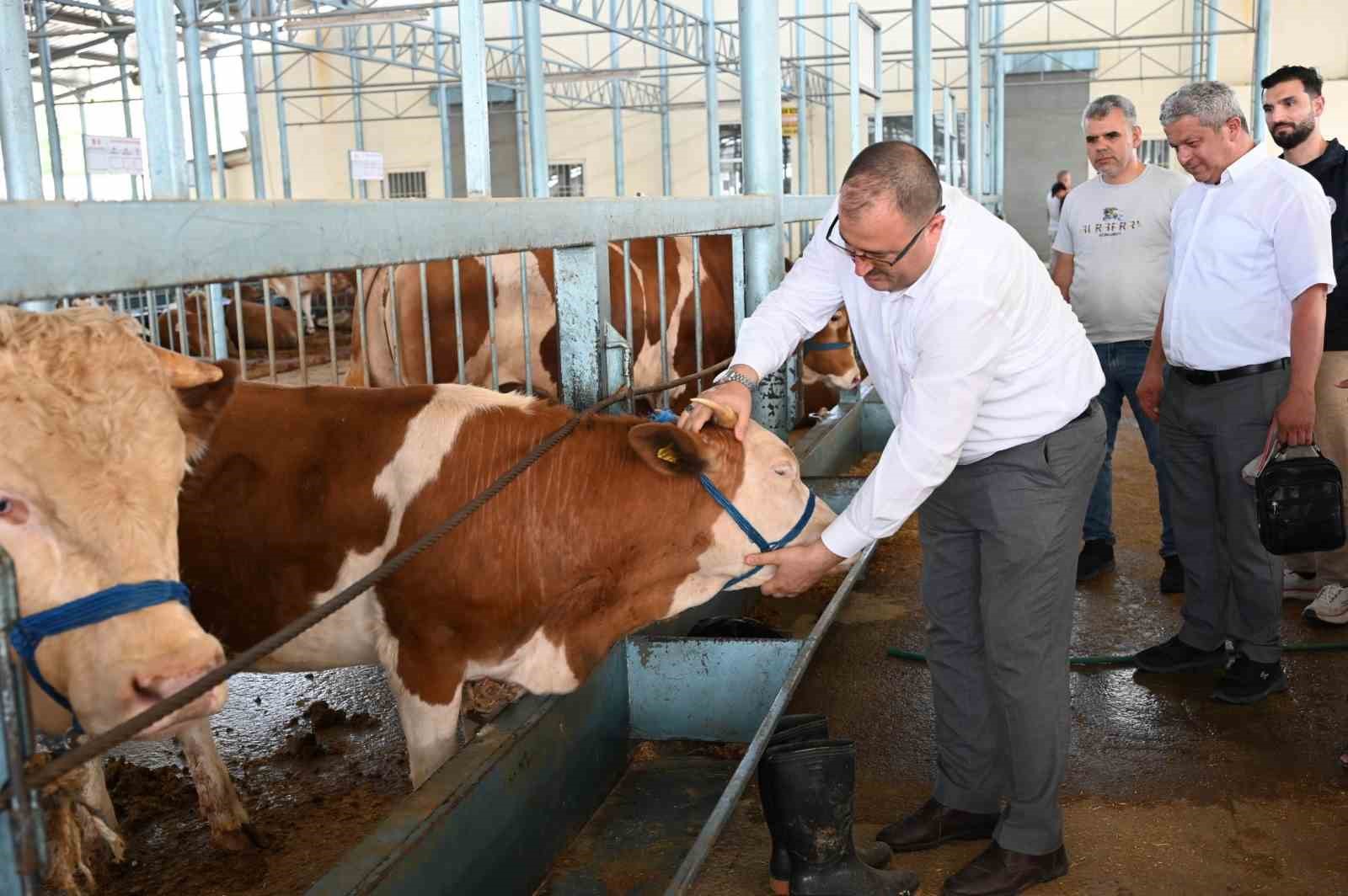 Belgesiz kurbanlıkların kente girişine izin verilmiyor
