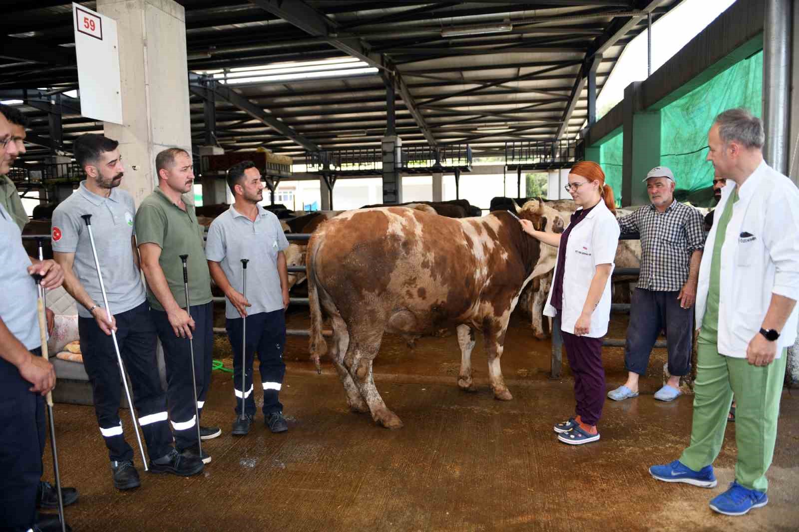 Osmangazi’nin kurban yakalama timi göreve hazır
