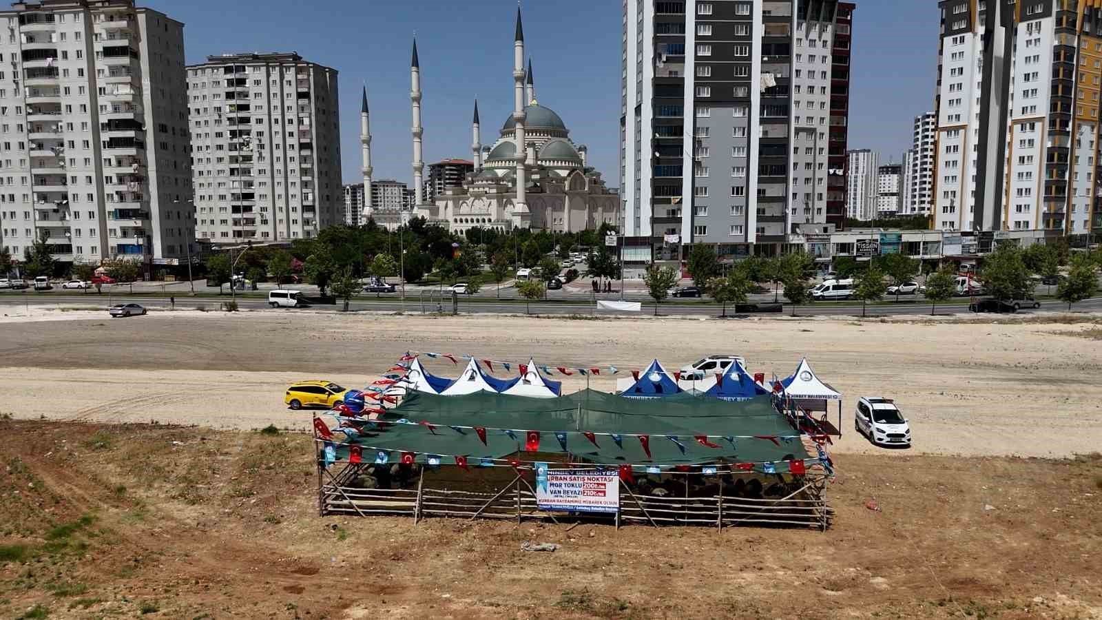 Şahinbey’de kurban satış ve kesim yerleri belirlendi
