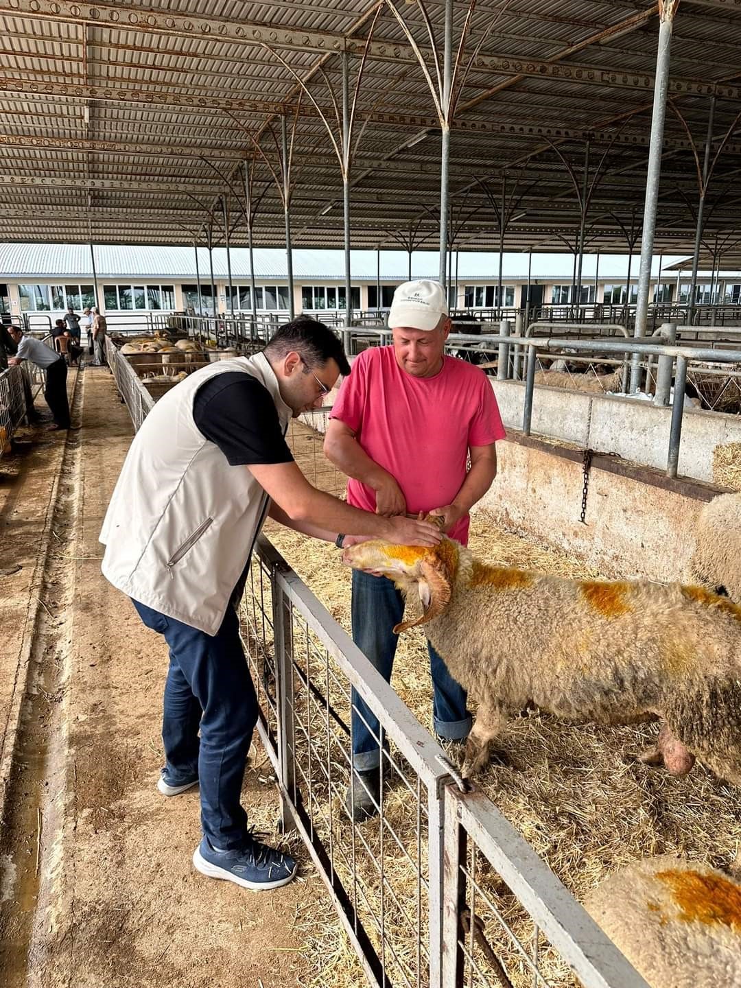 Edirne’de kurban satış yerlerinde denetim
