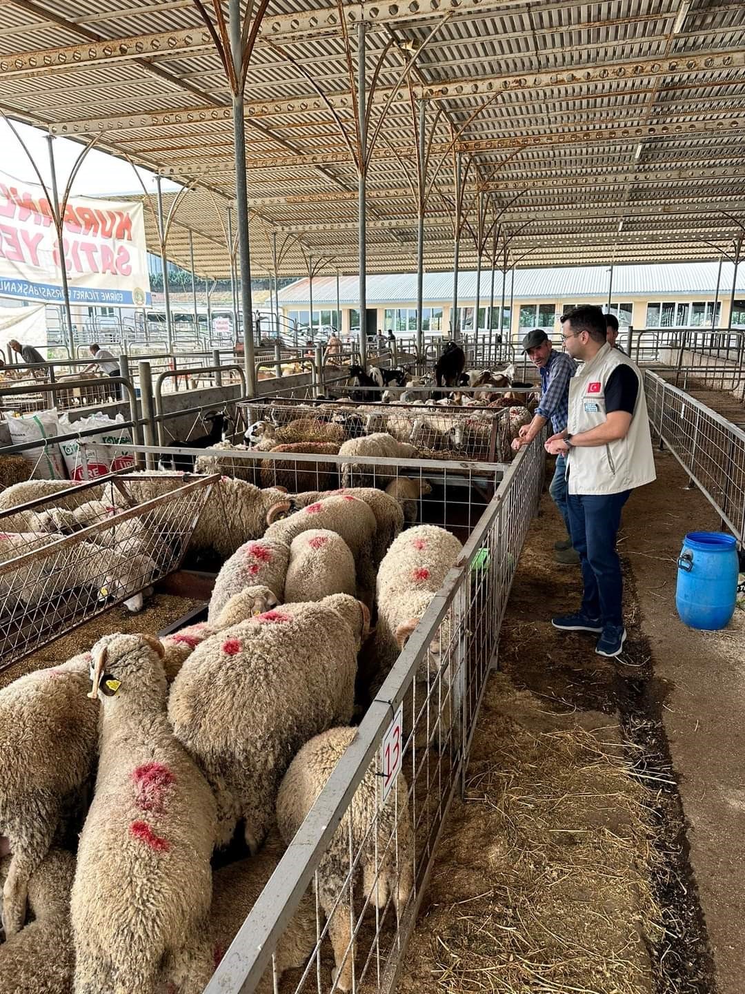 Edirne’de kurban satış yerlerinde denetim
