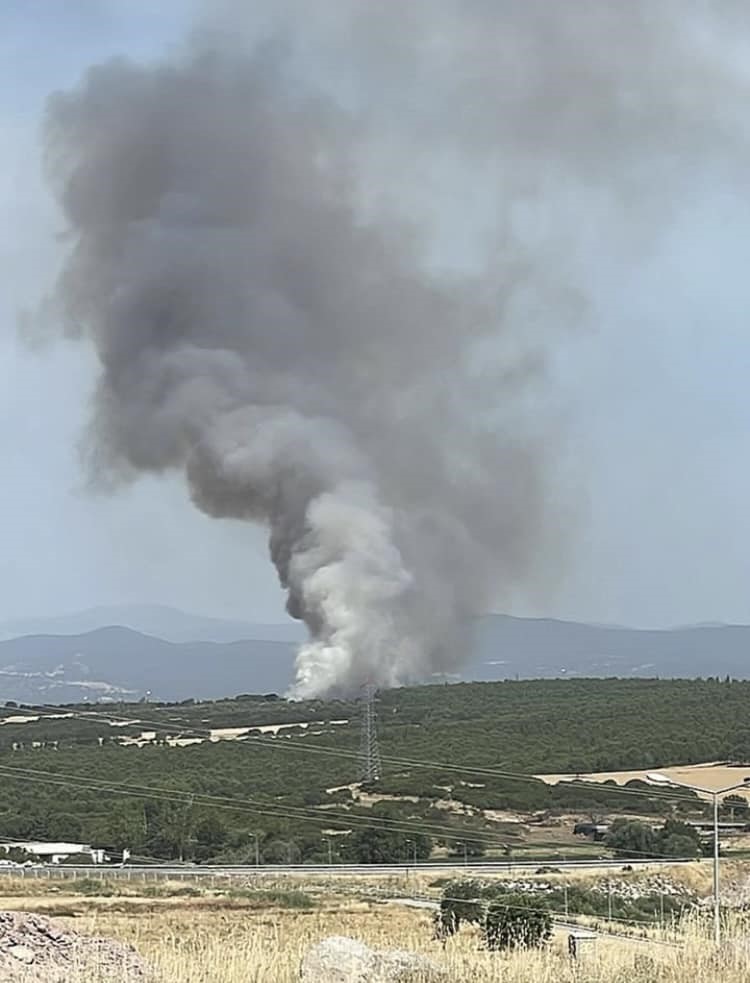 Çanakkale’de orman yangınına müdahale ediliyor
