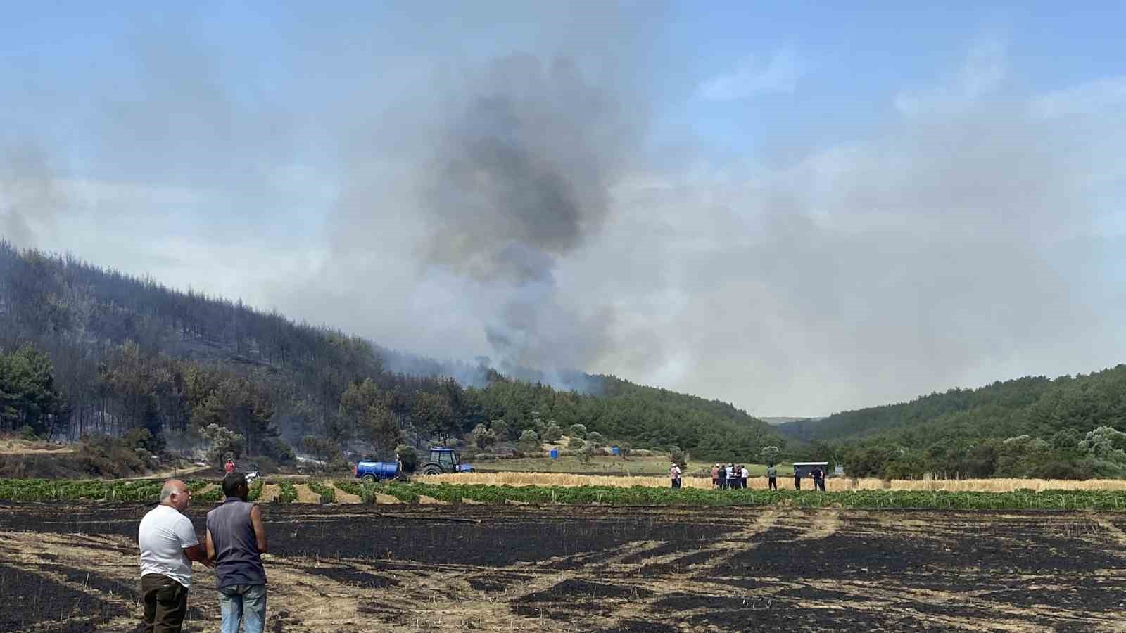 Eceabat’taki orman yangını devam ediyor
