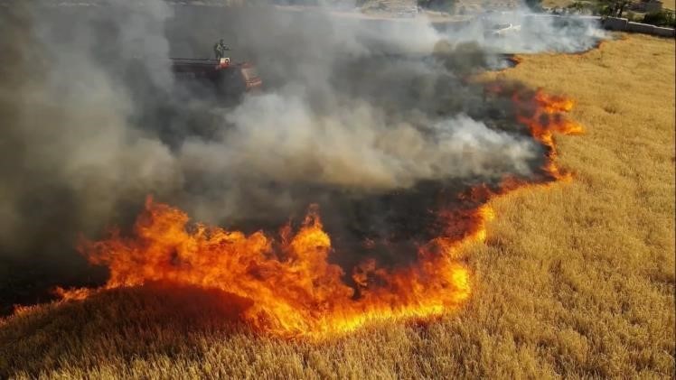 Bucak’ta aynı günde çıkan 6 farklı yangında 400 dekar alan yandı
