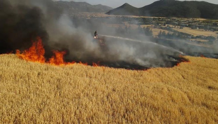 Bucak’ta aynı günde çıkan 6 farklı yangında 400 dekar alan yandı
